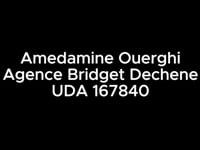 Amedamine Ouerghi